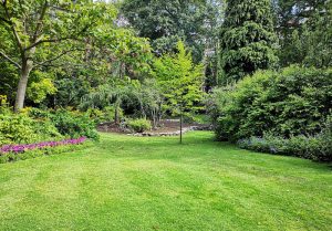 Optimiser l'expérience du jardin à Montromant